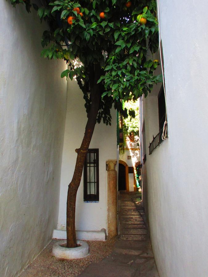 Cordoba Con Encanto Lubi I 外观 照片
